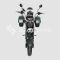 Электроскутер CityCoco SkyBoard Trike BR40-2000 PRO