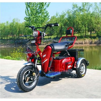 Электротрицикл E-toro Double 500W 48V20Ah Электротрицикл E-toro Double 500W 48V20Ah